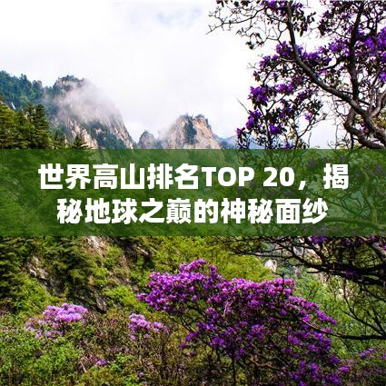 世界高山排名TOP 20，揭秘地球之巅的神秘面纱