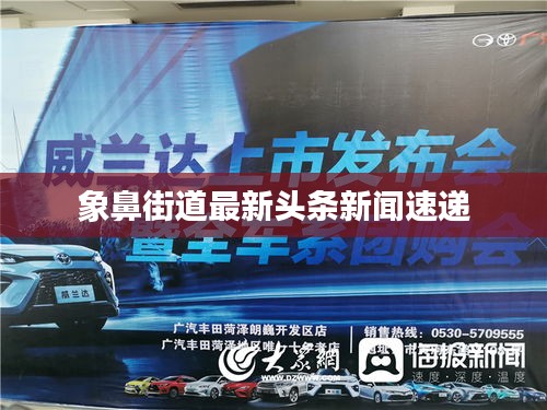 长颈鸟喙 第2页