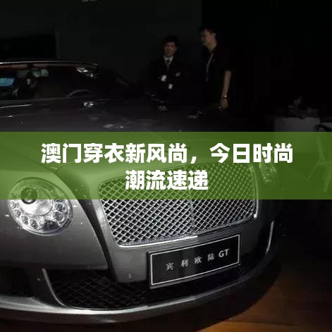 澳门穿衣新风尚，今日时尚潮流速递