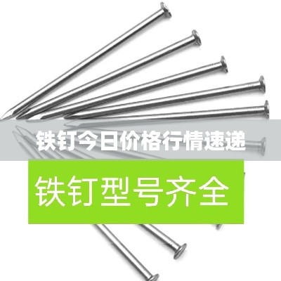 铁钉今日价格行情速递
