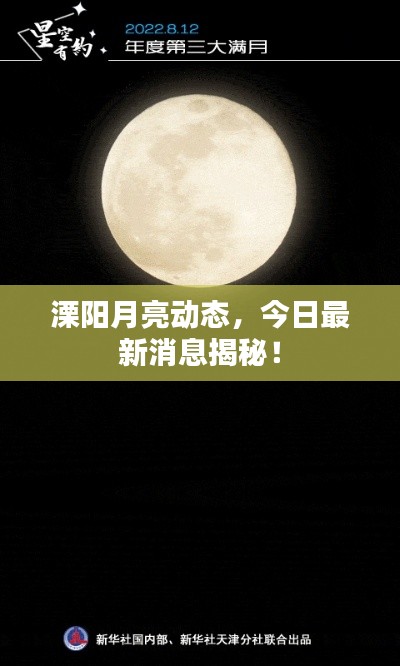 纲挈目张 第2页