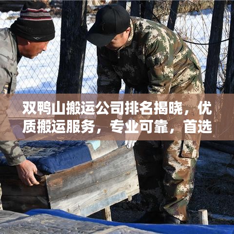 双鸭山搬运公司排名揭晓，优质搬运服务，专业可靠，首选这些公司！