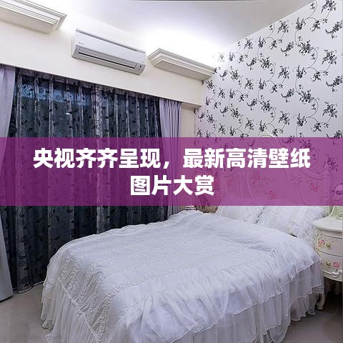 央视齐齐呈现，最新高清壁纸图片大赏