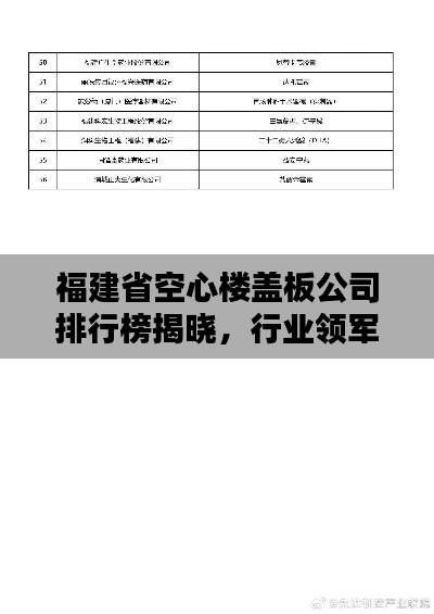 福建省空心楼盖板公司排行榜揭晓，行业领军企业榜单揭秘！