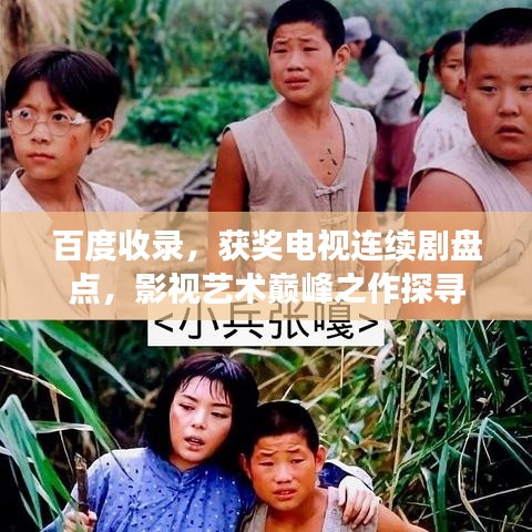 百度收录，获奖电视连续剧盘点，影视艺术巅峰之作探寻