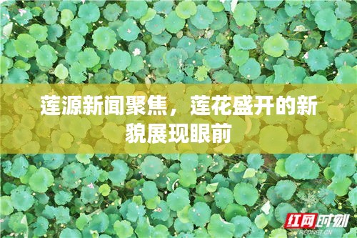 神清气朗 第2页