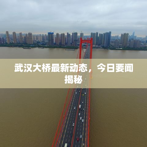 武汉大桥最新动态，今日要闻揭秘
