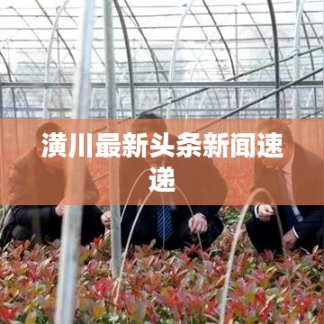 潢川最新头条新闻速递