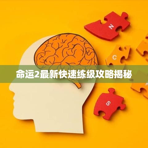 命运2最新快速练级攻略揭秘