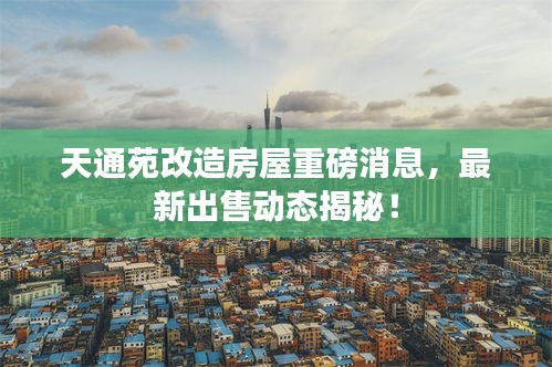 天通苑改造房屋重磅消息，最新出售动态揭秘！