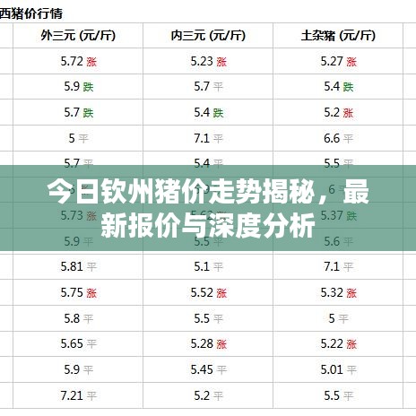 今日钦州猪价走势揭秘，最新报价与深度分析