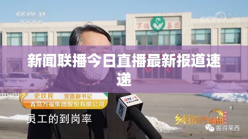 新闻联播今日直播最新报道速递