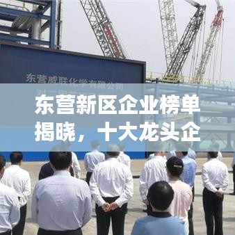 东营新区企业榜单揭晓，十大龙头企业榜单排名重磅出炉！