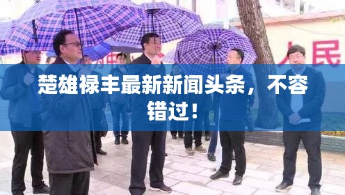 楚雄禄丰最新新闻头条，不容错过！