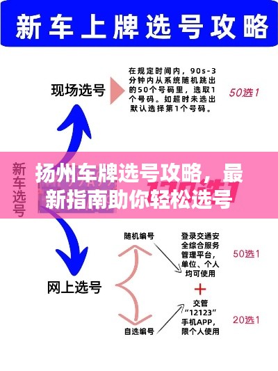 扬州车牌选号攻略，最新指南助你轻松选号