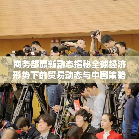 商务部最新动态揭秘全球经济形势下的贸易动态与中国策略应对之道
