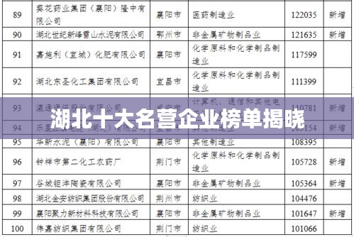龙飞九五 第2页