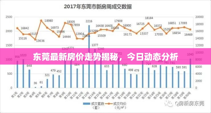 东莞最新房价走势揭秘，今日动态分析