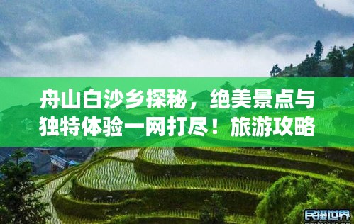 鸟之将死 第2页
