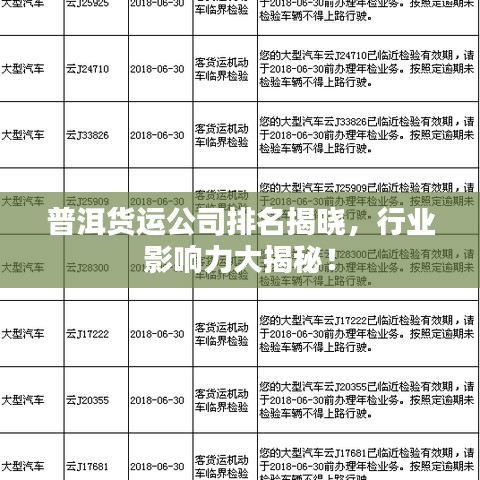 普洱货运公司排名揭晓，行业影响力大揭秘！