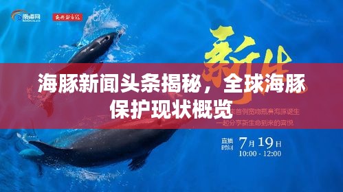 海豚新闻头条揭秘，全球海豚保护现状概览