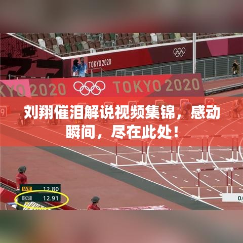 刘翔催泪解说视频集锦，感动瞬间，尽在此处！