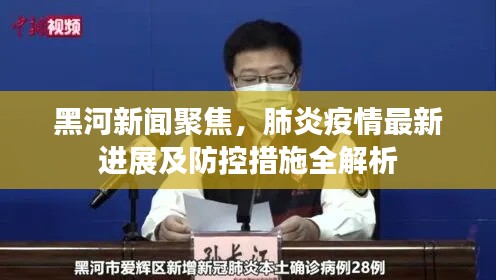 黑河新闻聚焦，肺炎疫情最新进展及防控措施全解析