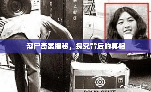 溶尸奇案揭秘，探究背后的真相
