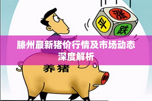 滕州最新猪价行情及市场动态深度解析