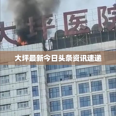大坪最新今日头条资讯速递