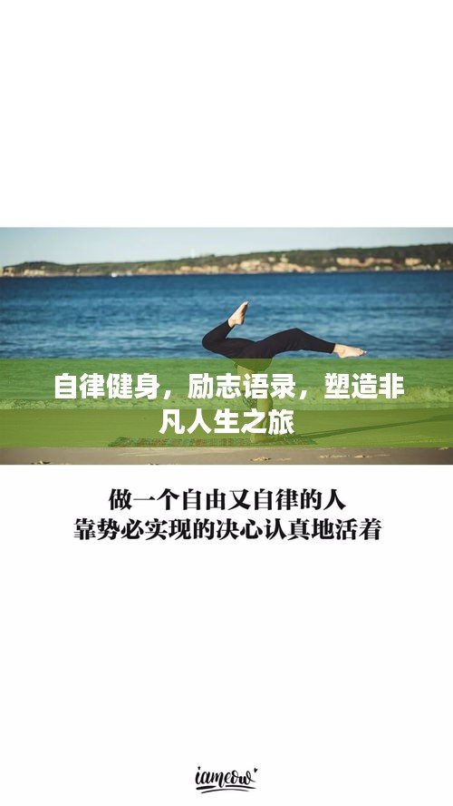 翰飞戾天 第2页