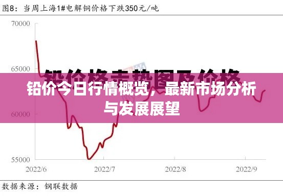 百鸟齐鸣 第2页