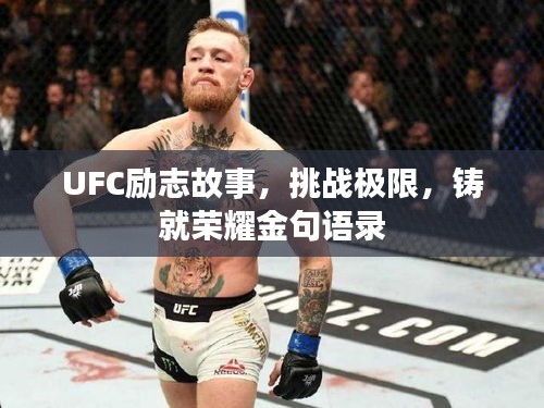 UFC励志故事，挑战极限，铸就荣耀金句语录