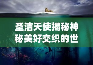 澹泊明志，宁静致远 第2页