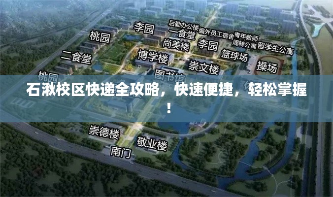 笼中之鸟 第2页