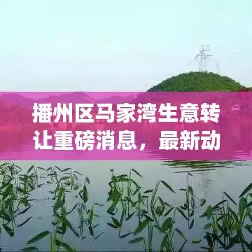 播州区马家湾生意转让重磅消息，最新动态一网打尽！