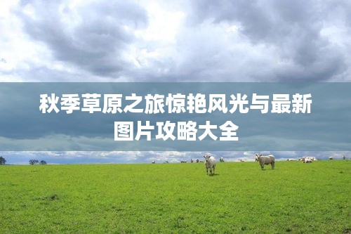 秋季草原之旅惊艳风光与最新图片攻略大全