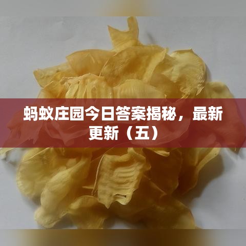 蚂蚁庄园今日答案揭秘，最新更新（五）