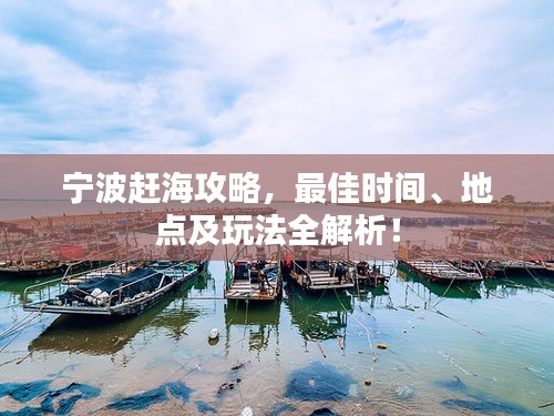 宁波赶海攻略,最佳时间、地点及玩法全解析!