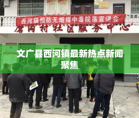 花香鸟语 第2页