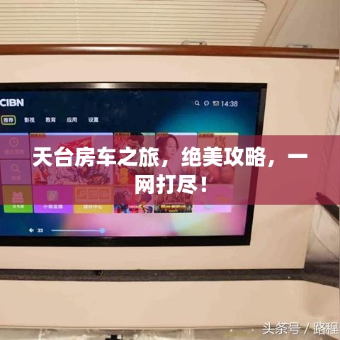 张袂成阴 第2页