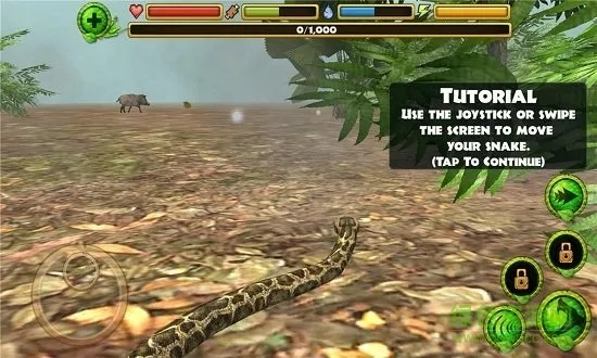 帝王蟒版本,数据驱动计划_DX版_v9.680