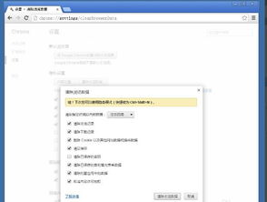 查看谷歌浏览器的版本,实地调研解释定义&amp;交互版_v6.305