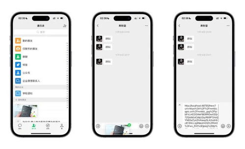 iphone5 ios 版本,实地数据评估方案_游戏版_v8.938