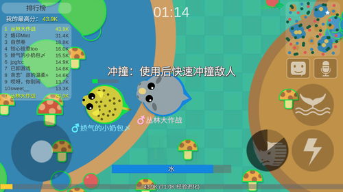 丛林大作战2官方下载,实地验证数据分析 创新版_v2.123