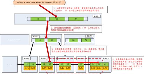 90版本米斯特丁,深入解析数据策略-苹果款1_v6.920