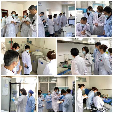 初中化学版本,实地验证数据应用_模拟版1_v6.170