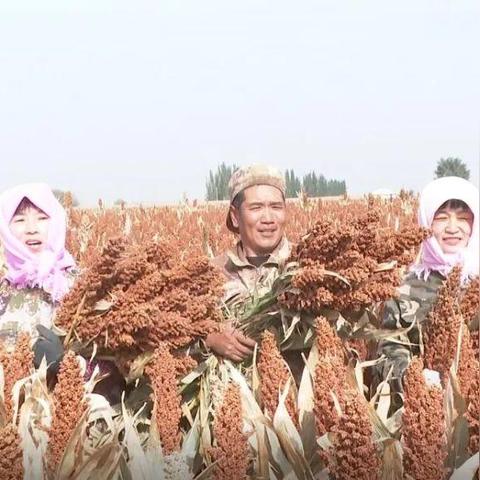 2025年新电脑必装的十款玉米网app官方下载软件清单