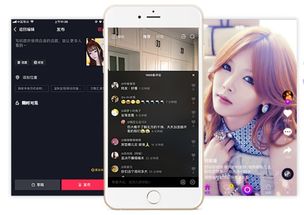 花椒直播范冰冰版本,仿真技术方案实现 Lite_v5.453