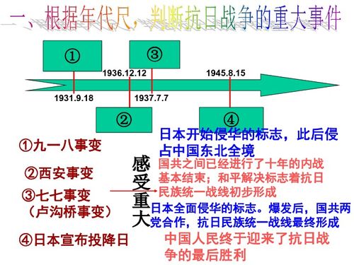 NewLutube官方下载,设计解析及成功原因探讨